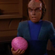 Illustration for article titled iStar Trek: The Next Generation/i: “Firstborn”/“Bloodlines”